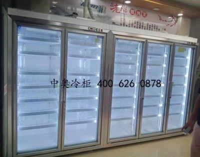 兩門冷柜 兩門冷柜